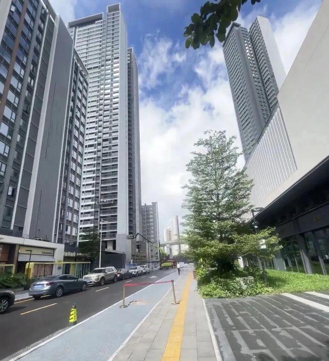 心准现楼-深圳外国语龙华校区-北站双央企PG麻将胡了网站入口保利招商龙誉-北站核(图8)