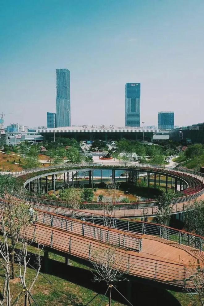 心准现楼-深圳外国语龙华校区-北站双央企PG麻将胡了网站入口保利招商龙誉-北站核(图6)