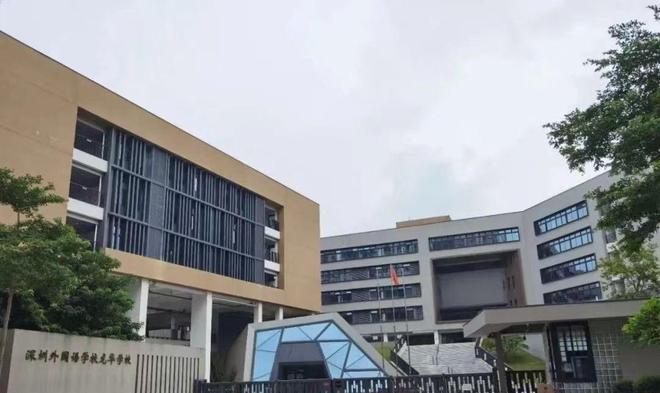 心准现楼-深圳外国语龙华校区-北站双央企PG麻将胡了网站入口保利招商龙誉-北站核(图18)